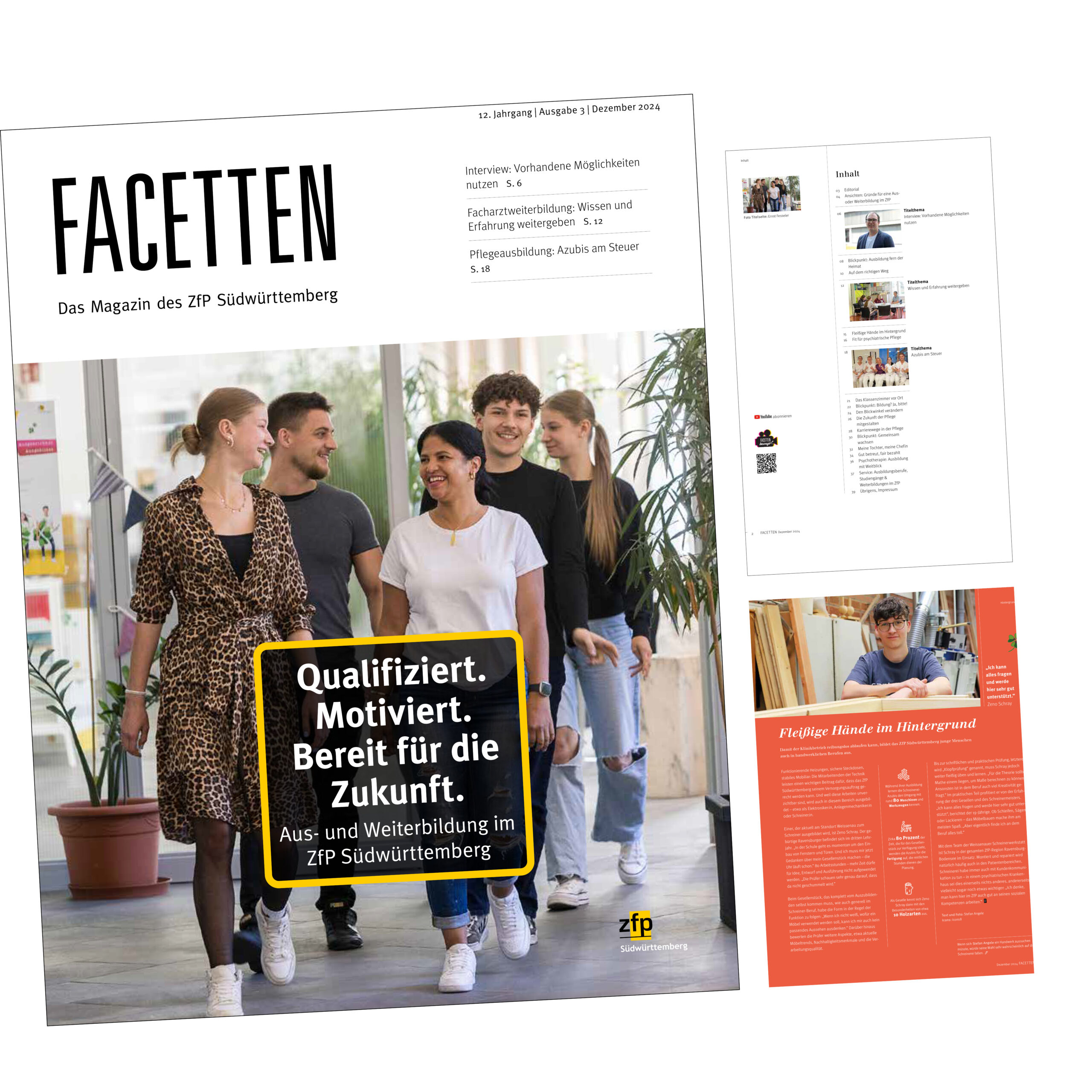 Om Webseite Verbindet ZfP Suedwuerttemberg 1024x1024px 15012025 3